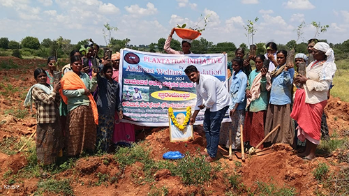 Impact Project Image